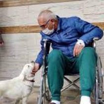 A Loyal Dog Spends Days Outside The Hospital Waiting For His Dad To Return